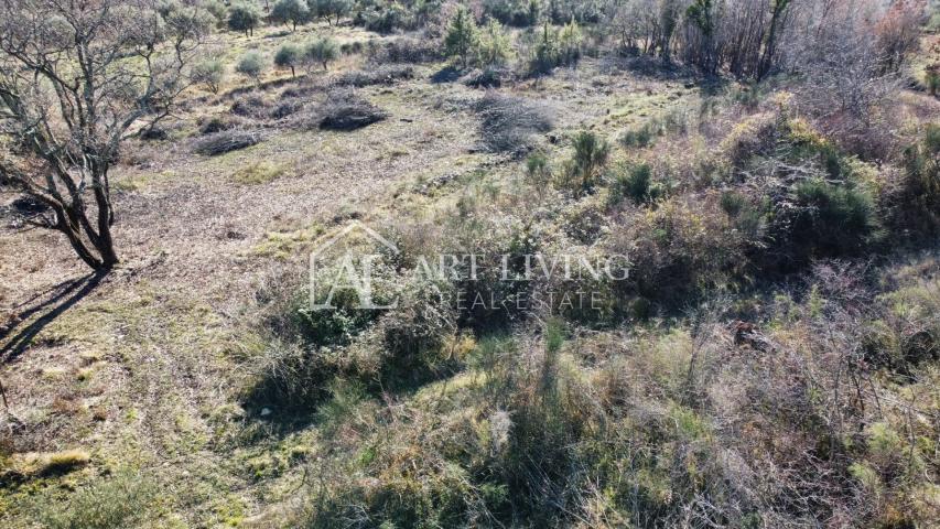 ISTRA, GROŽNJAN, okolica - prelijepo građevinsko zemljište s otvorenim panoramskim pogledom na more