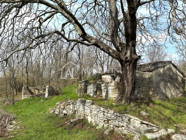 Istria, Grožnjan, surroundings - autochthonous Istrian stone house with 60,000 m2 of land