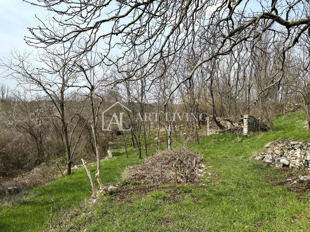 Istria, Grožnjan, surroundings - autochthonous Istrian stone house with 60,000 m2 of land