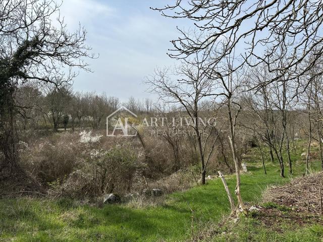 Istria, Grožnjan, surroundings - autochthonous Istrian stone house with 60,000 m2 of land