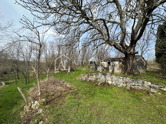 Istria, Grožnjan, surroundings - autochthonous Istrian stone house with 60,000 m2 of land