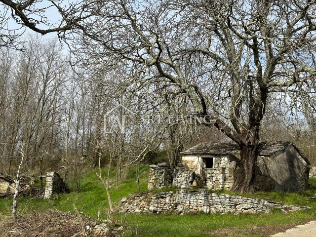 Istria, Grožnjan, surroundings - autochthonous Istrian stone house with 60,000 m2 of land