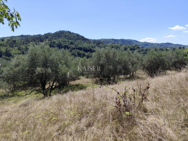 Istria, Buzet - building plot with a view of nature