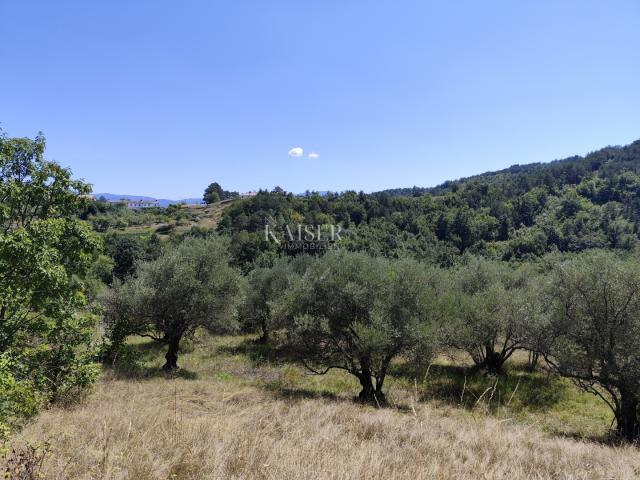 Istria, Buzet - building plot with a view of nature