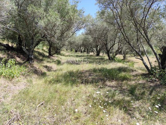 Istria, Buzet - building plot with a view of nature