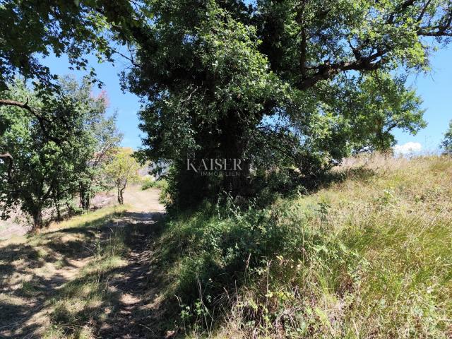 Istria, Buzet - building plot with a view of nature