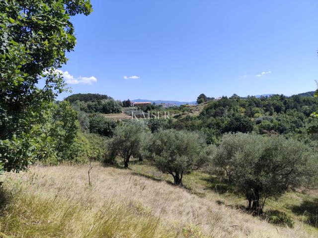 Istria, Buzet - building plot with a view of nature