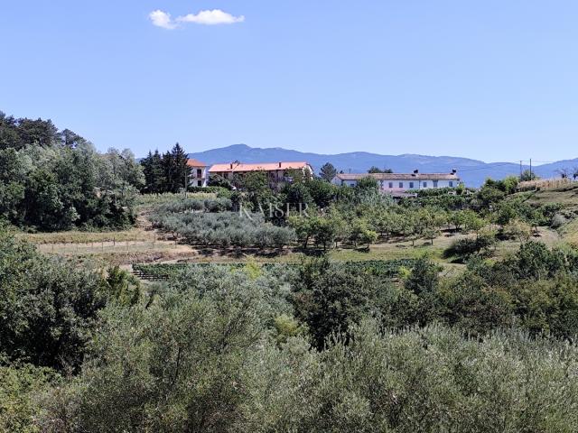 Istria, Buzet - building plot with a view of nature