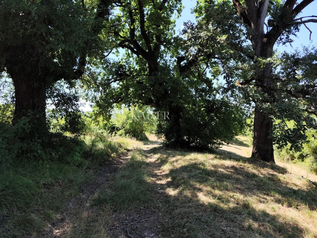 Istra, Buzet- Imanje u centralnoj Istri