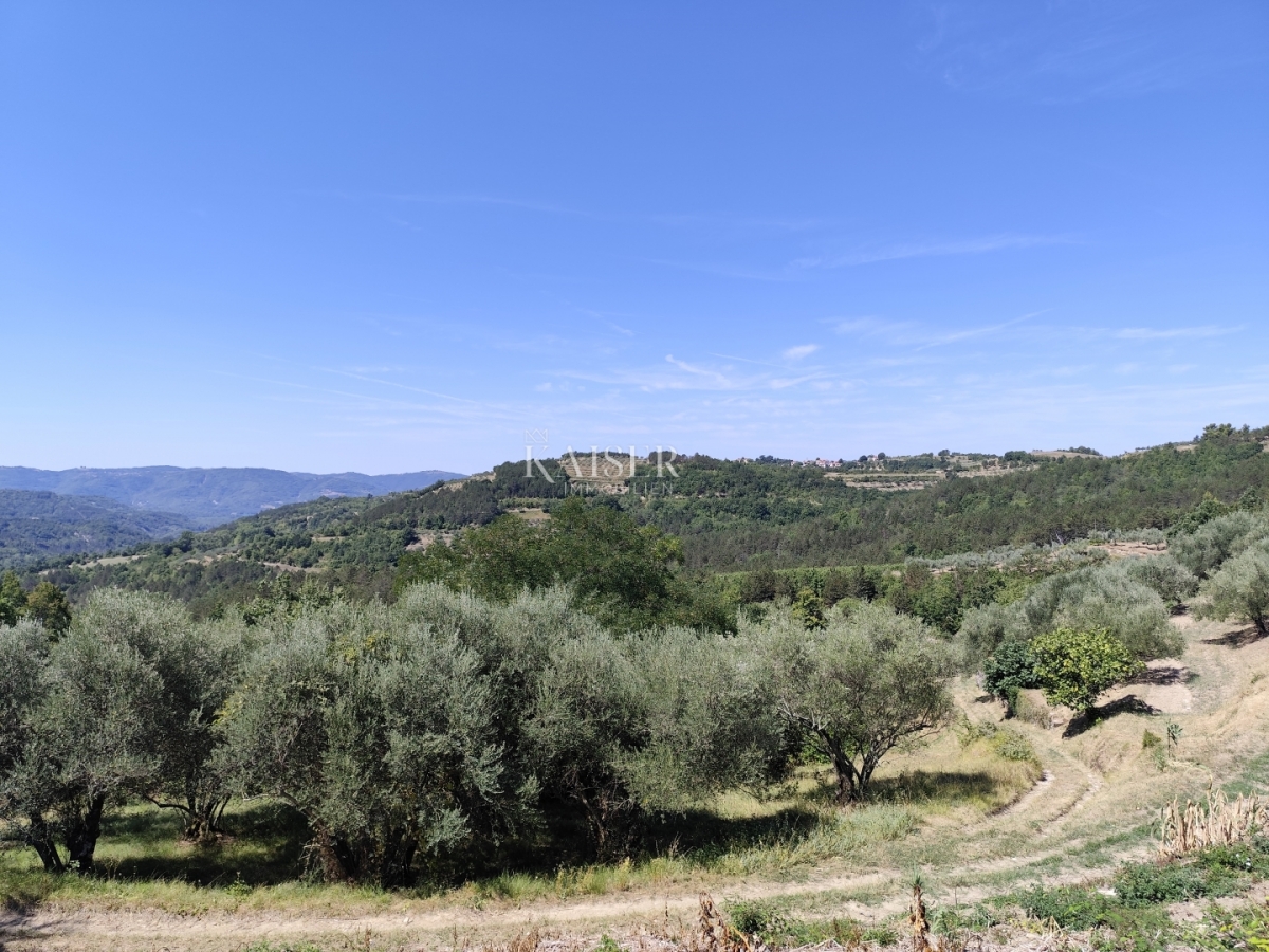 Istra, Buzet- Imanje u centralnoj Istri