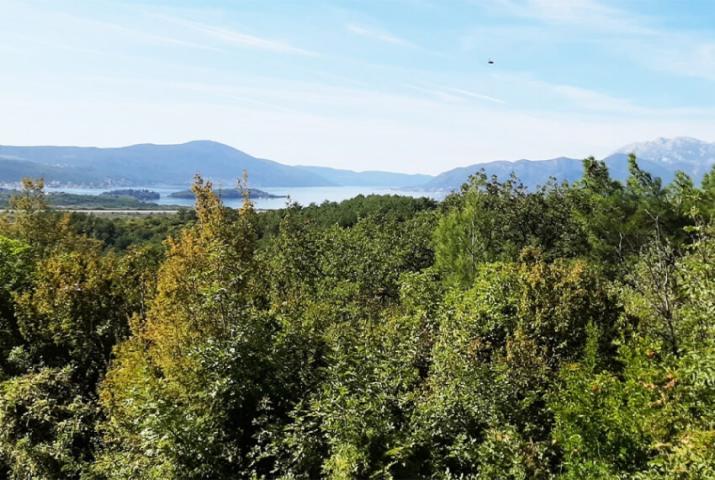 Urbanized land in Kotor Kavac