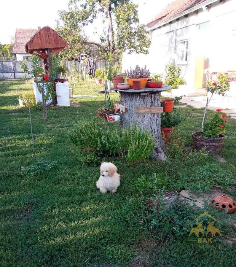 Prelepa kuća u centru Baču