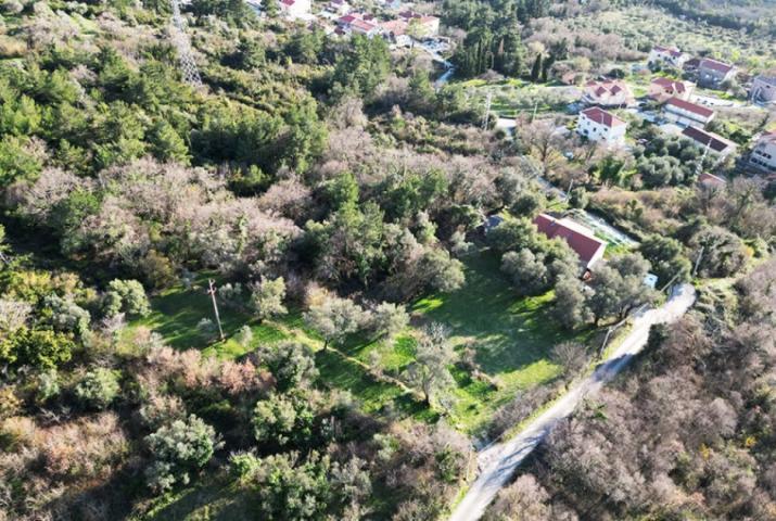 Urbanized land in Kotor Kavac