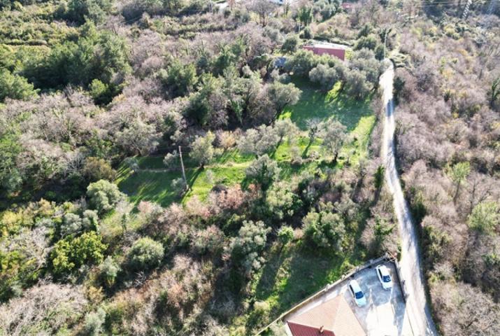 Urbanized land in Kotor Kavac