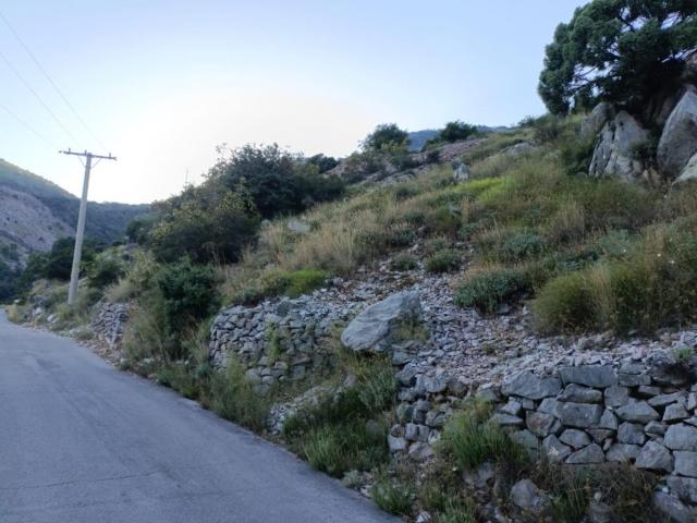 Land of 3246m2 in Herceg Novi with a stunning sea view