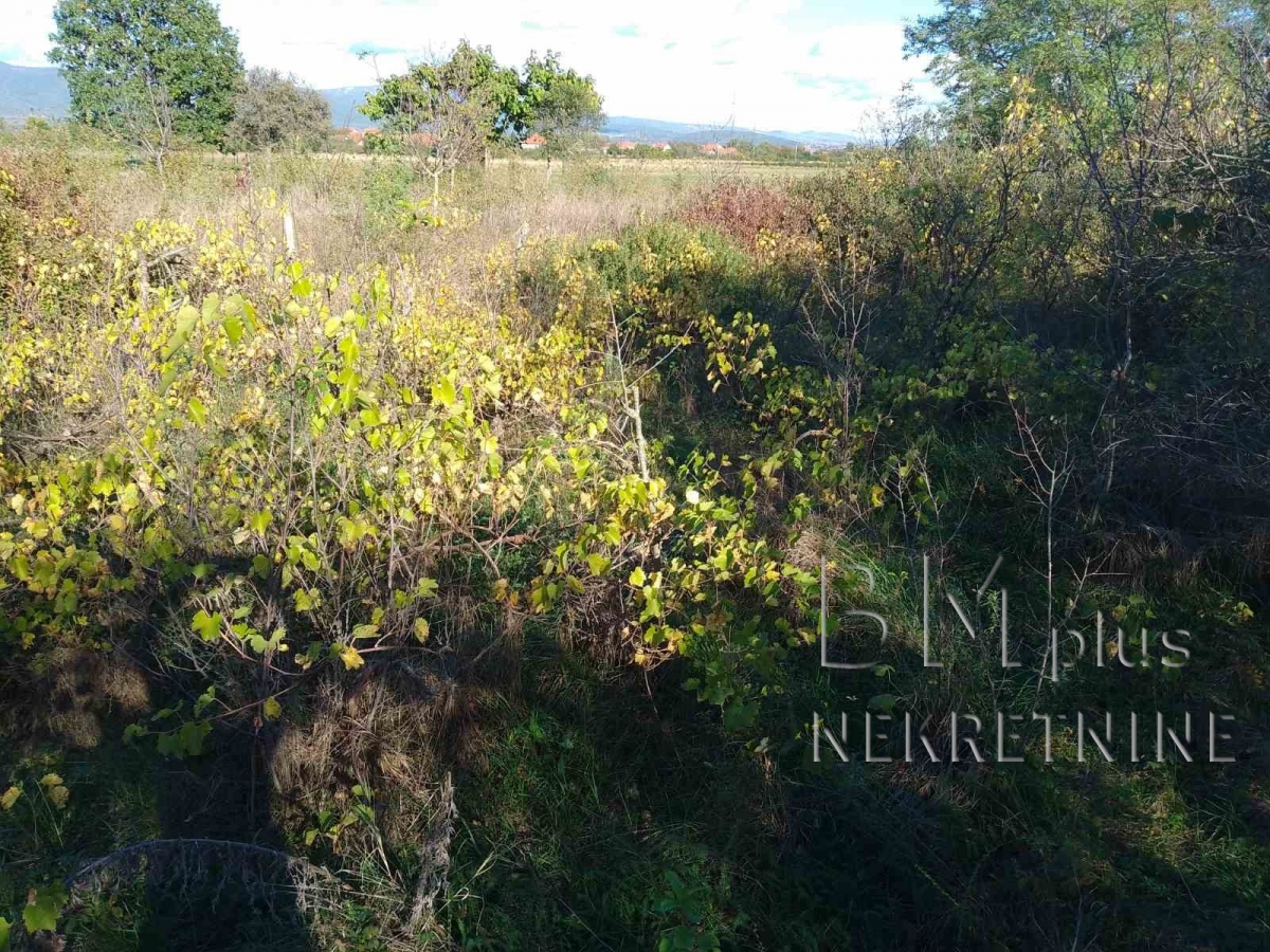 Na prodaju seosko domaćinstvo, Aleksinac - Korman