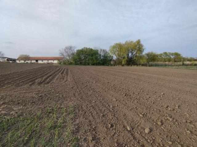 Bački Jarak. Zemljište u građevinskom području na odličnoj poziciji. 