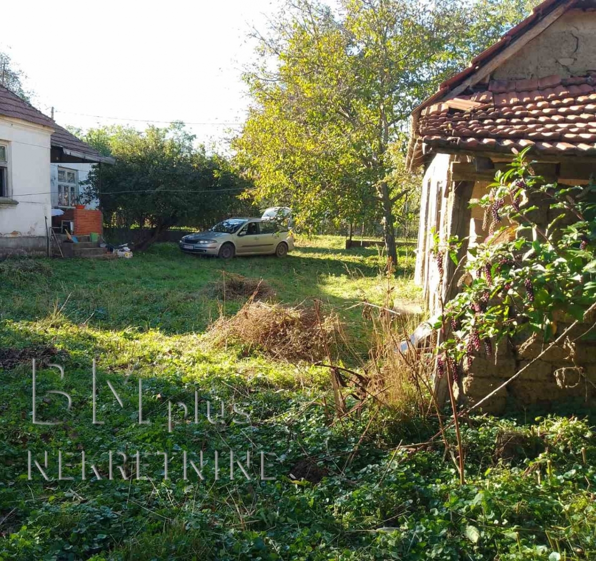 Na prodaju seosko domaćinstvo, Aleksinac - Korman