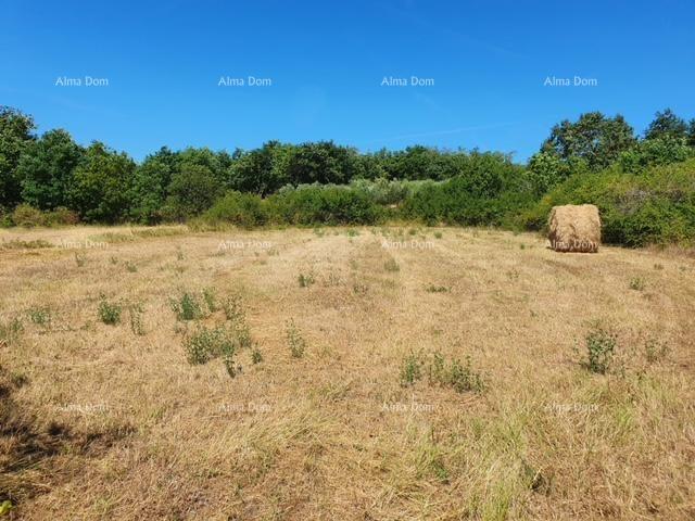 Građevinsko zemljište Prodaje se građevinsko zemljište, 1712m2, Marčana