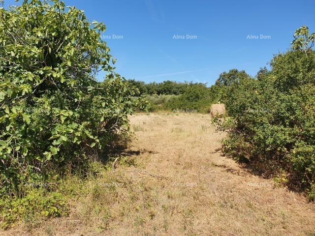 Građevinsko zemljište Prodaje se građevinsko zemljište, 1712m2, Marčana