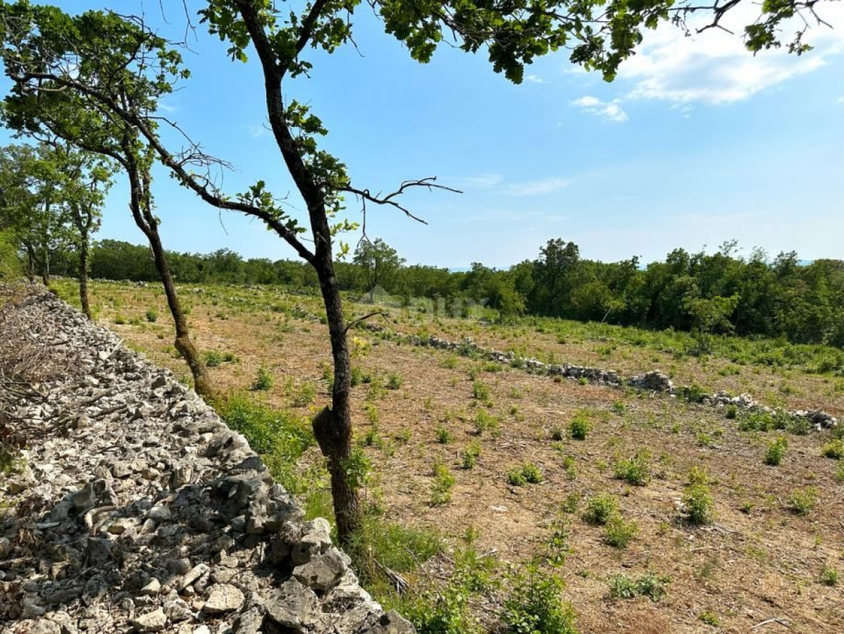 LABIN, ST. LOVREČ, VLAKOVO - building plot 8600m2 for hotel / boutique hotel / family house / villa 