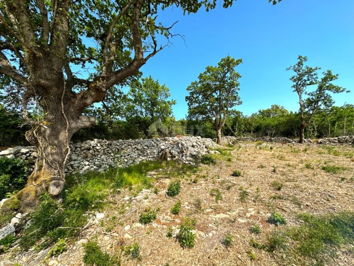 LABIN, ST. LOVREČ, VLAKOVO - building plot 8600m2 for hotel / boutique hotel / family house / villa 