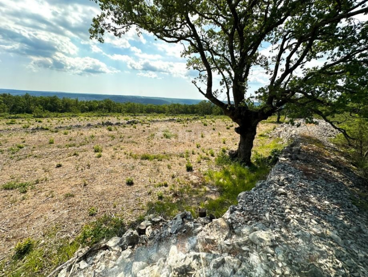 LABIN, ST. LOVREČ, VLAKOVO - building plot 8600m2 for hotel / boutique hotel / family house / villa 