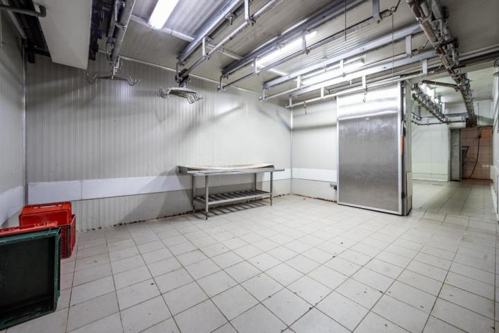 Fully Equipped Slaughterhouse in Cetinje with Storage and Freezing Chambers