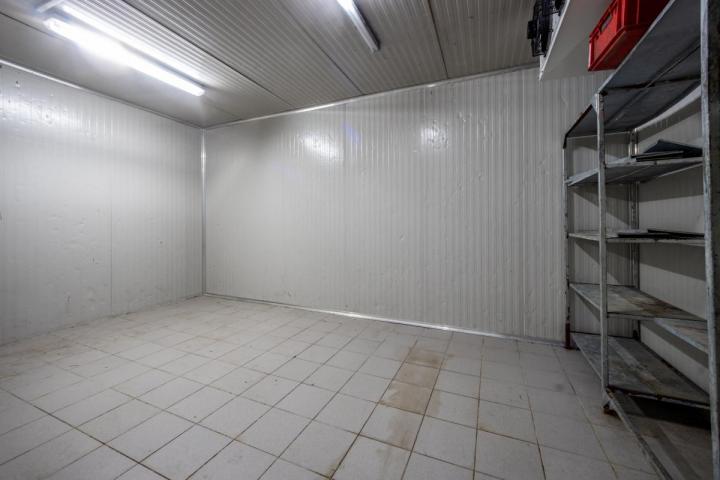 Fully Equipped Slaughterhouse in Cetinje with Storage and Freezing Chambers