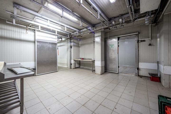 Fully Equipped Slaughterhouse in Cetinje with Storage and Freezing Chambers