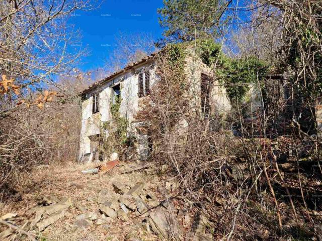 Haus Große Immobilie zum Verkauf in Zentralistrien, Pazin!