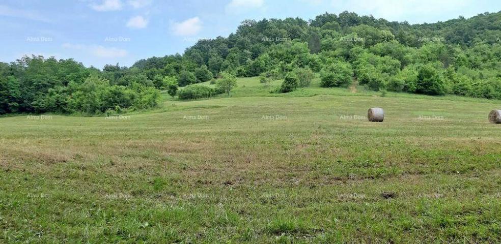 Kuća Prodaje se veliko imanje/stancija u središnjoj Istri, Pazin!