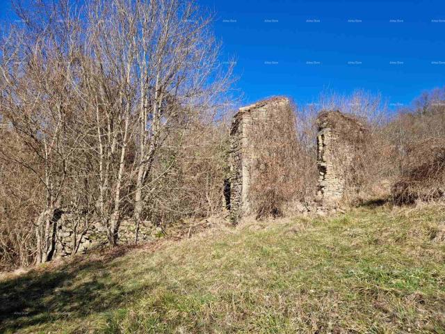 Kuća Prodaje se veliko imanje/stancija u središnjoj Istri, Pazin!