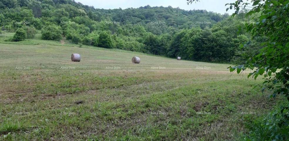 Kuća Prodaje se veliko imanje/stancija u središnjoj Istri, Pazin!