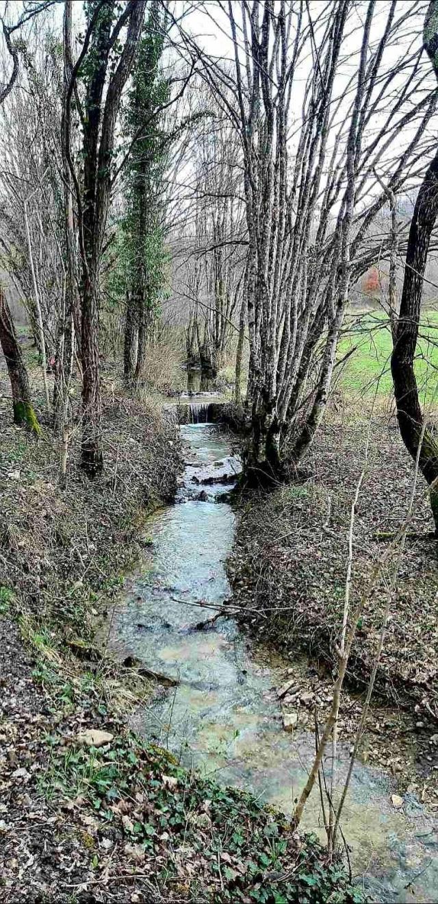 Kuća Prodaje se veliko imanje/stancija u središnjoj Istri, Pazin!