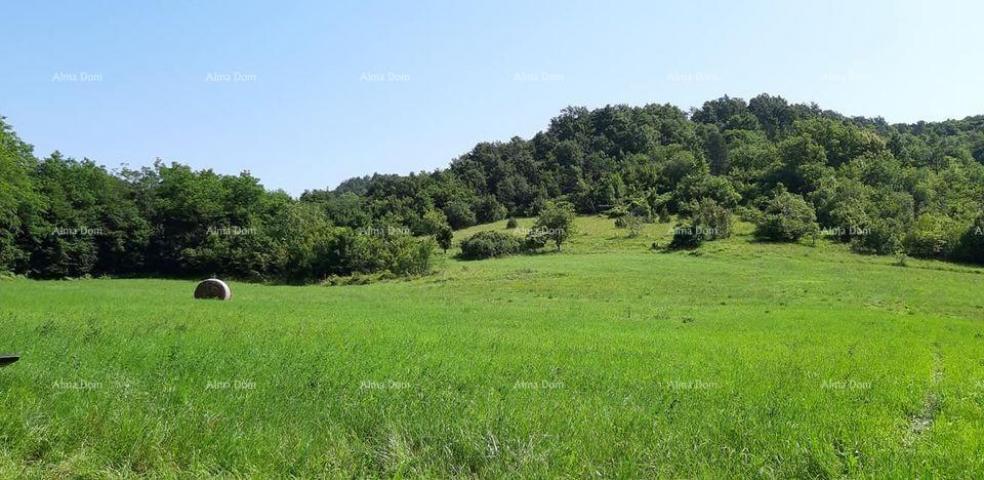 Kuća Prodaje se veliko imanje/stancija u središnjoj Istri, Pazin!