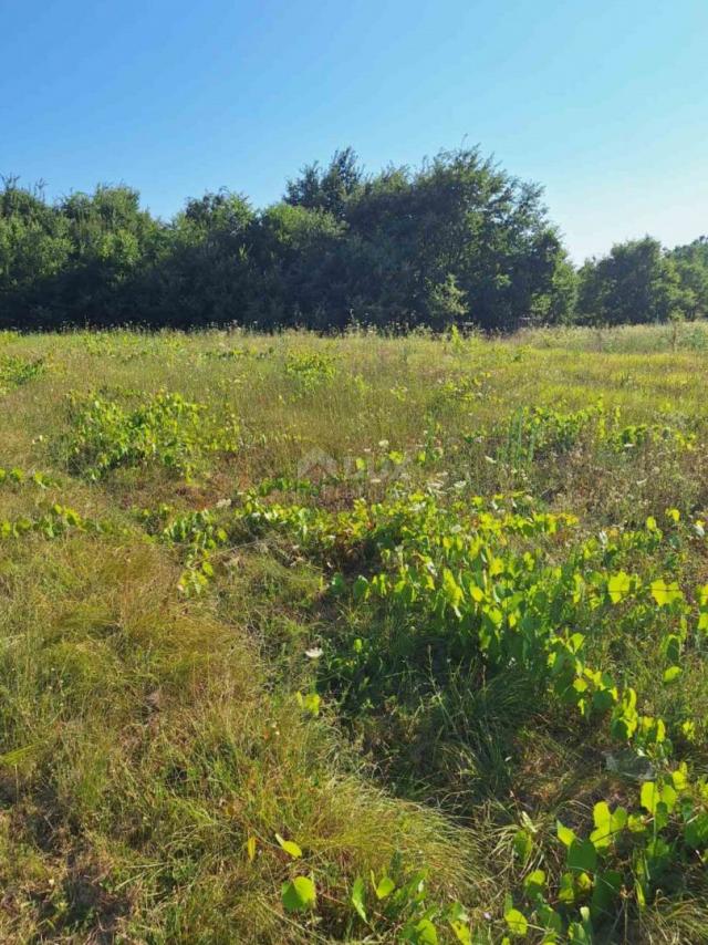 ISTRA, LABIN - Samostojeća kuća na rubu naselja