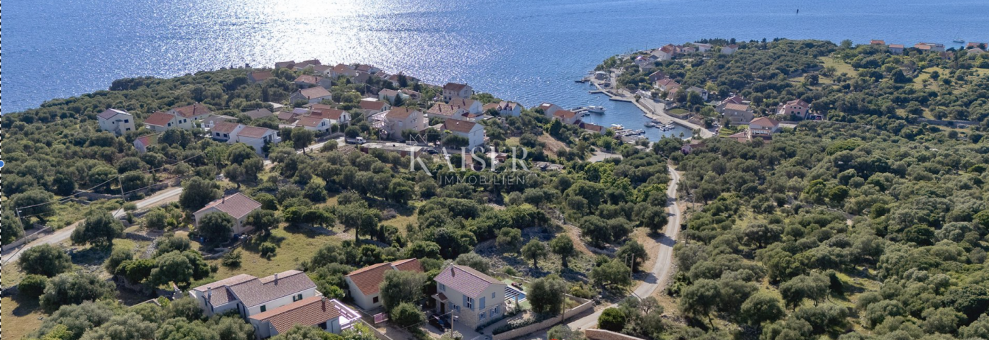 Insel Pag, Grundstück mit Baugenehmigung in einem jahrhundertealten Olivenhain, Meerblick