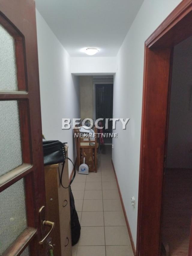 Zemun, Novi grad, Branka Plećaša, 2. 0, 45m2, 400EUR