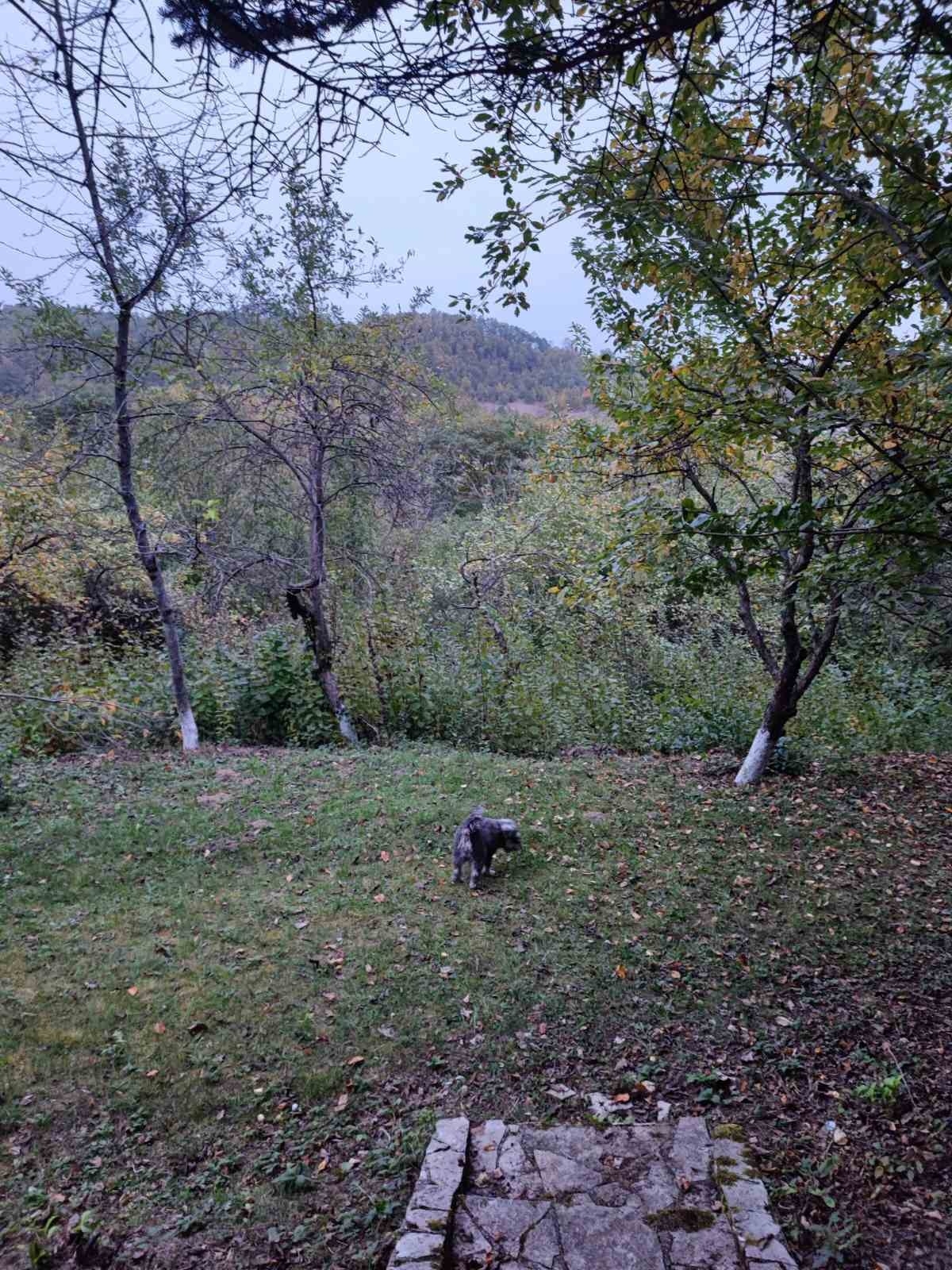 Plac sa objektom u Brusnici pored Gornjeg Milanovca