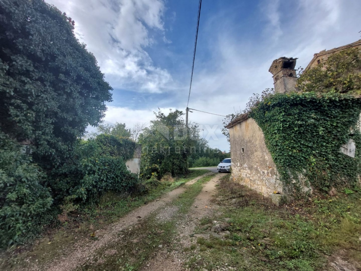 ISTRIA, PIĆAN - Two stone houses for renovation, opportunity!