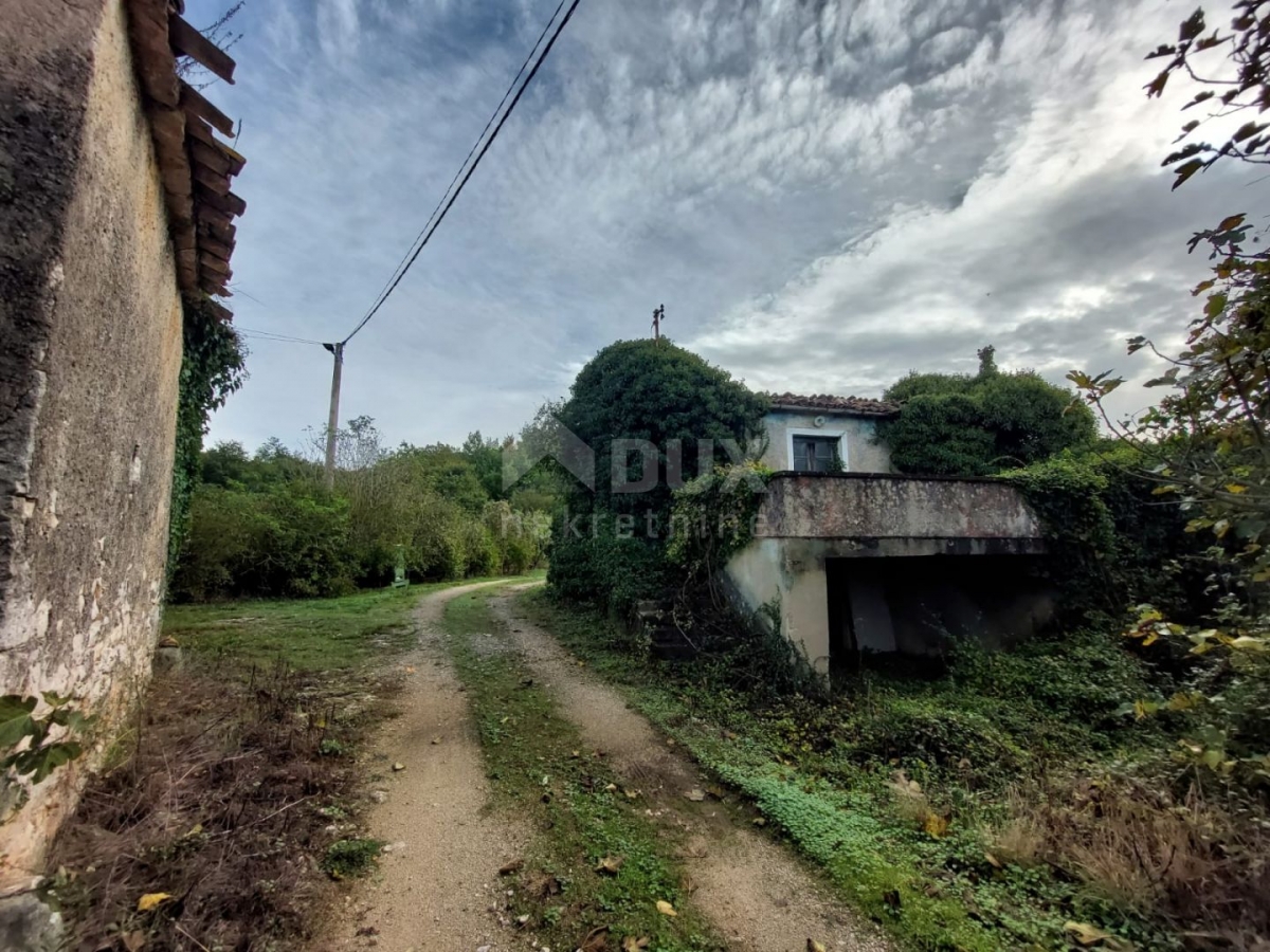 ISTRIA, PIĆAN - Two stone houses for renovation, opportunity!