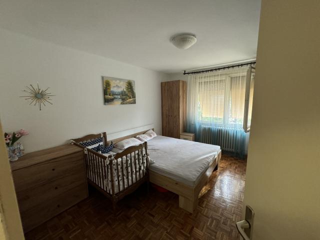 NOVI SAD - DETELINARA - 53. 00 m2