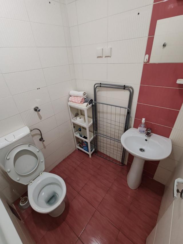 NOVI SAD - BULEVAR PATRIJARHA PAVLA - 36. 00 m2