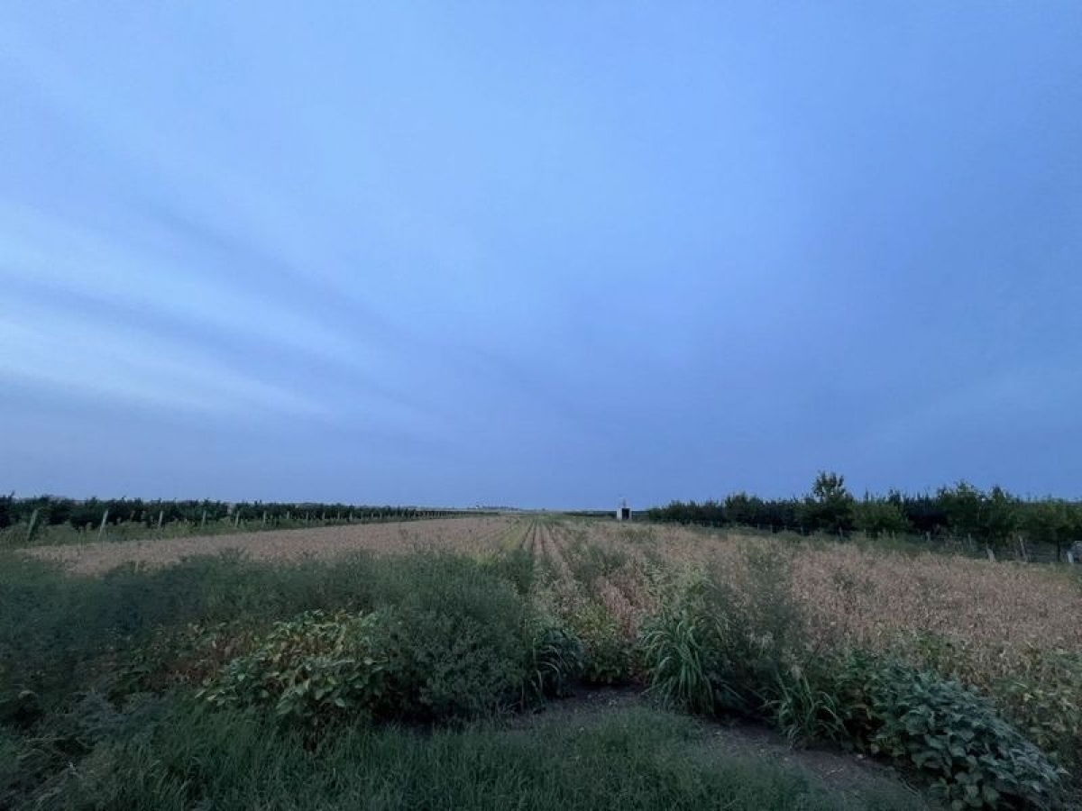 Građevinski plac između Temerina i Bačkog Jarka!