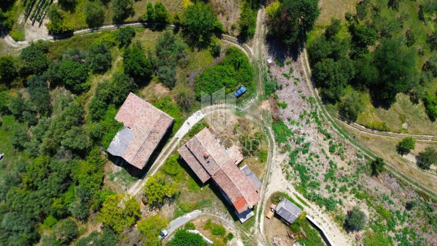 Cerovlje, surroundings, property with two stone houses and olive groves on a building plot