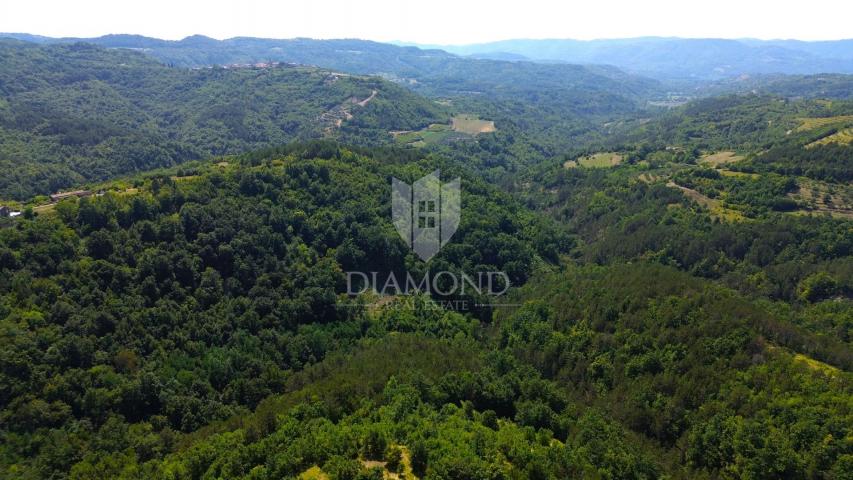 Cerovlje, surroundings, property with two stone houses and olive groves on a building plot