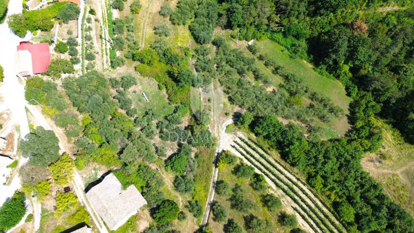 Cerovlje, surroundings, property with two stone houses and olive groves on a building plot