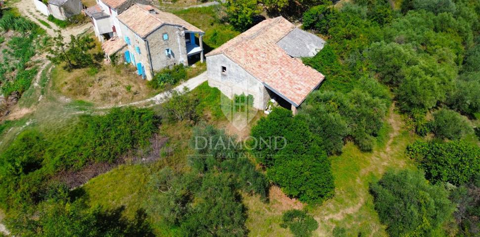 Cerovlje, surroundings, property with two stone houses and olive groves on a building plot