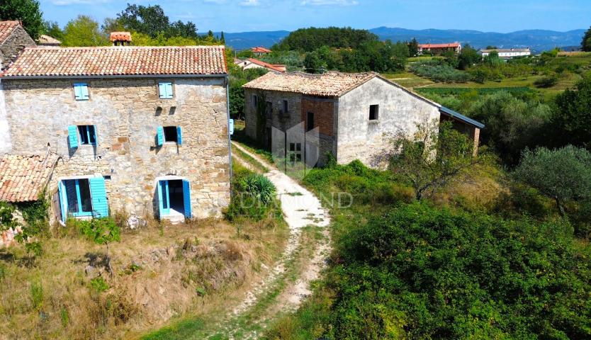 Cerovlje, surroundings, property with two stone houses and olive groves on a building plot